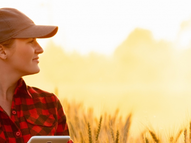 Farmer On Field Tech 1366 398