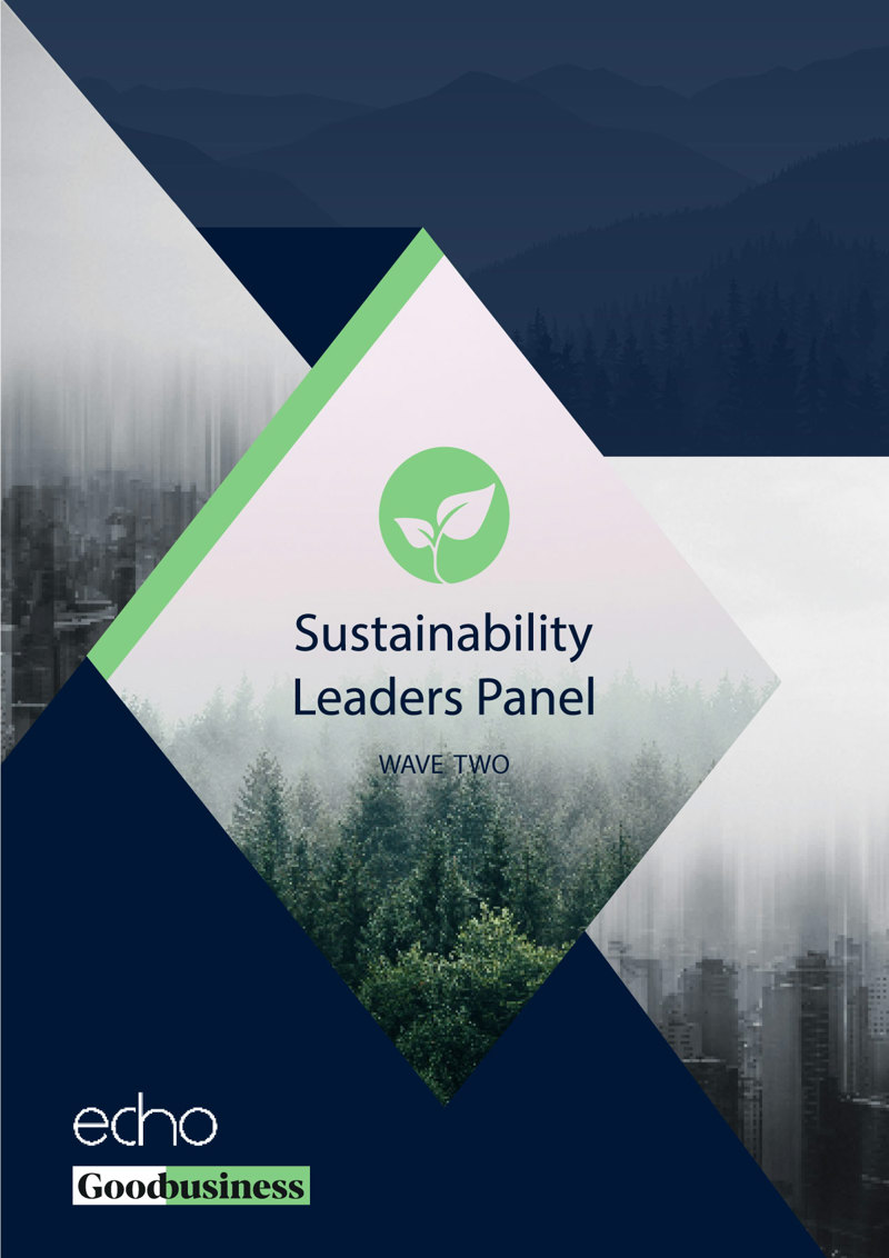 Sustainability Leaders Panel Linked In