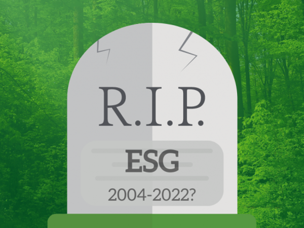 Does ESG deserve to be at the top table?